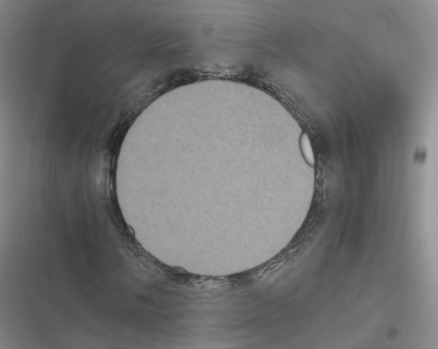 X0000116441058201001191527