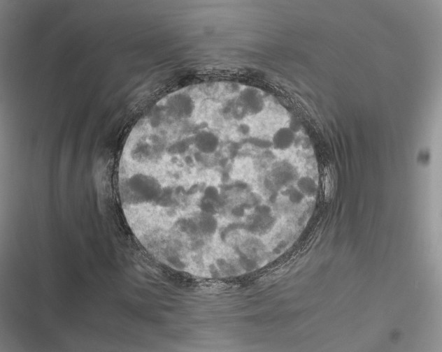 X0000116441059201001191527