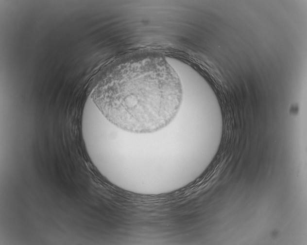 X0000116441060201001191527