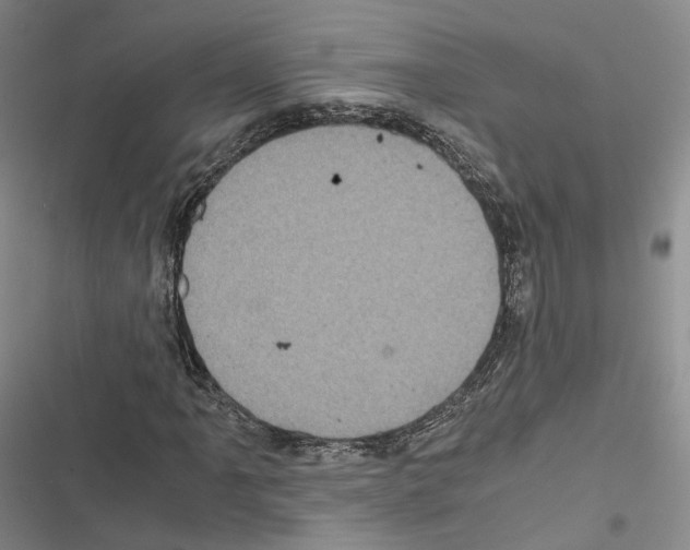 X0000116441061201001191527