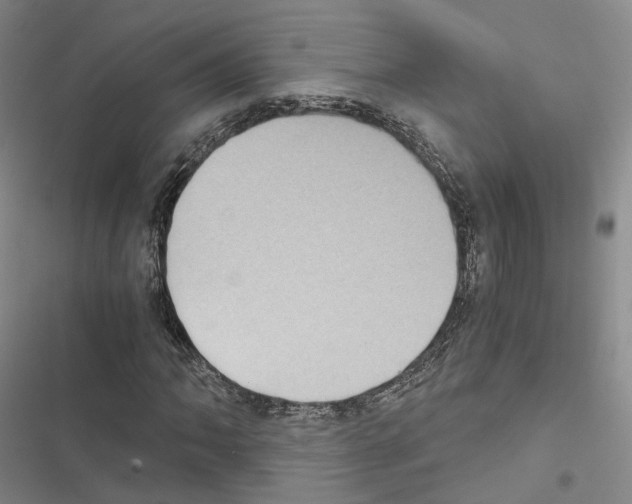 X0000116441062201001191527