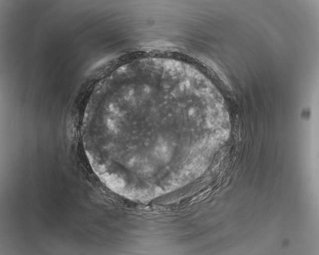 X0000116441063201001191527