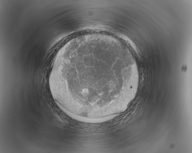 X0000116441064201001191527