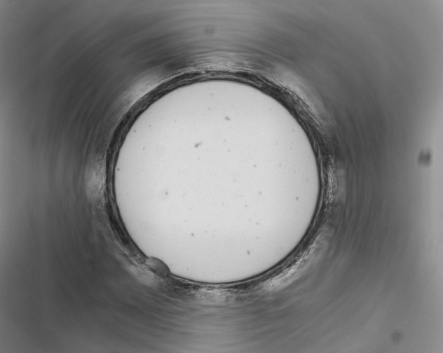 X0000116441065201001191527