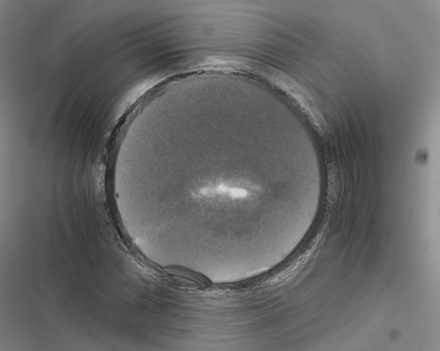 X0000116441066201001191527