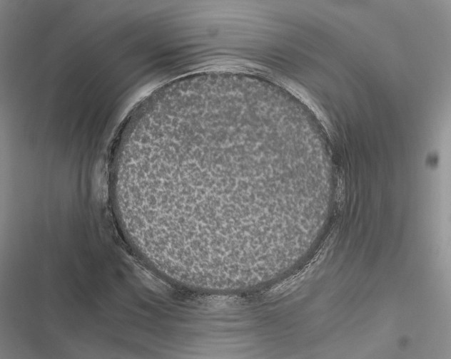 X0000116441067201001191527