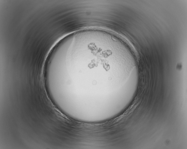 X0000116441068201001191527