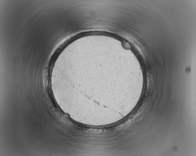 X0000116441069201001191527