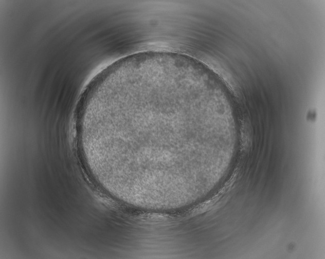 X0000116441070201001191527