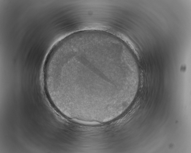 X0000116441072201001191527