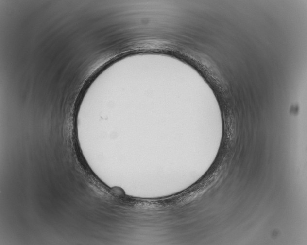 X0000116441073201001191527