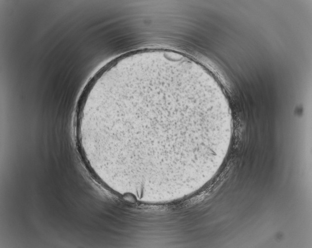 X0000116441076201001191527