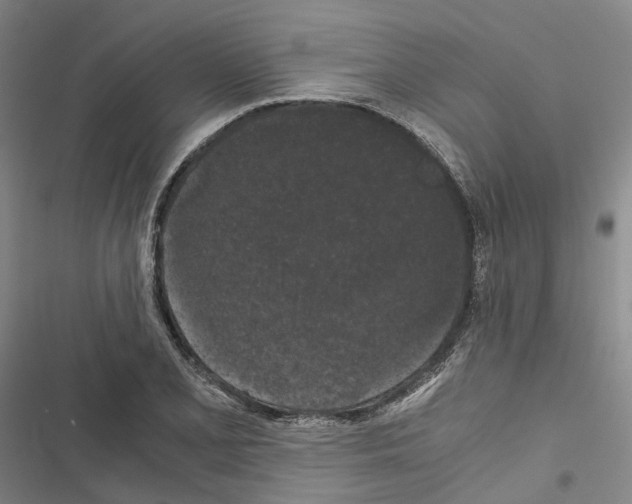 X0000116441077201001191527