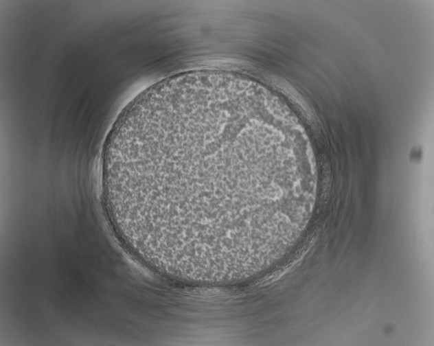 X0000116441079201001191527