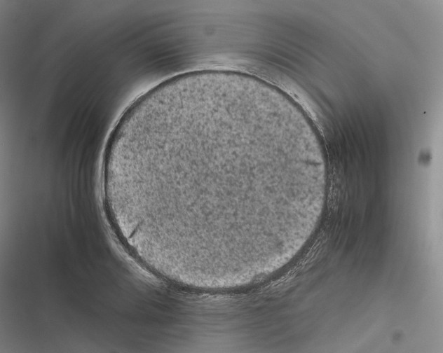 X0000116441080201001191527