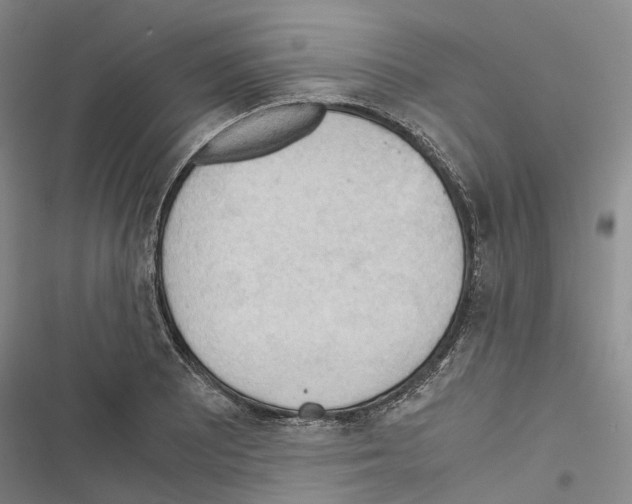 X0000116441081201001191527