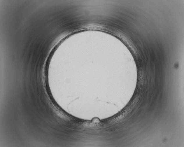 X0000116441082201001191527