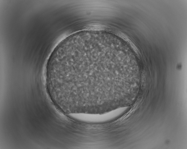 X0000116441083201001191527