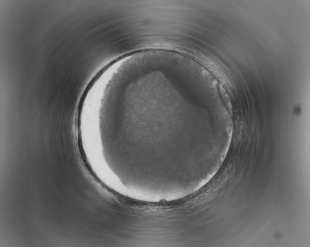 X0000116441084201001191527