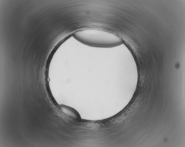 X0000116441085201001191527