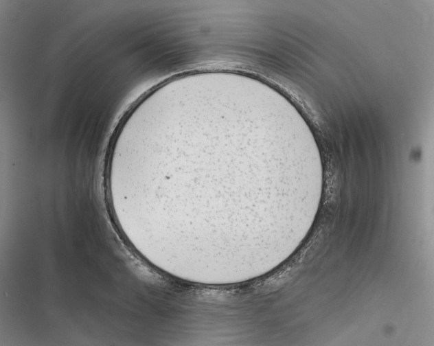 X0000116441086201001191527