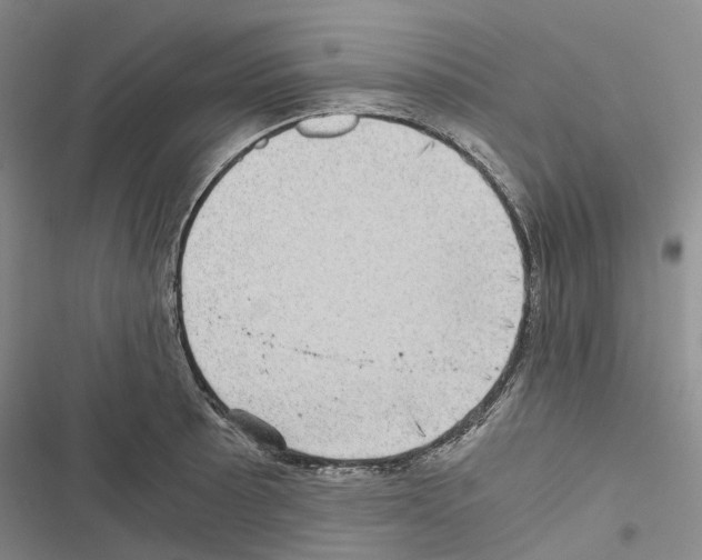 X0000116441089201001191527