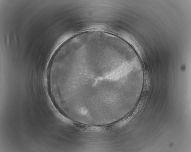 X0000116441090201001191527