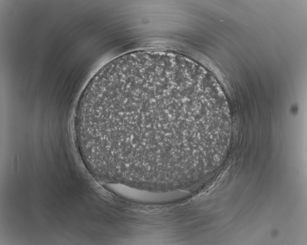 X0000116441091201001191527