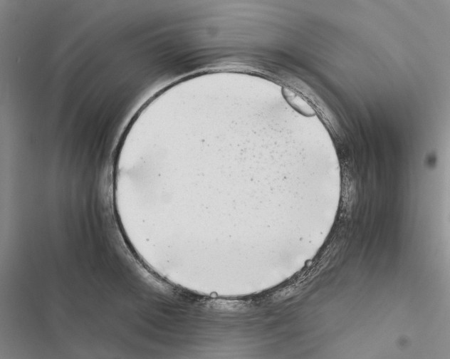 X0000116441092201001191527