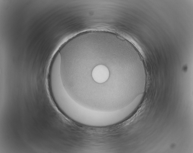 X0000116441093201001191527