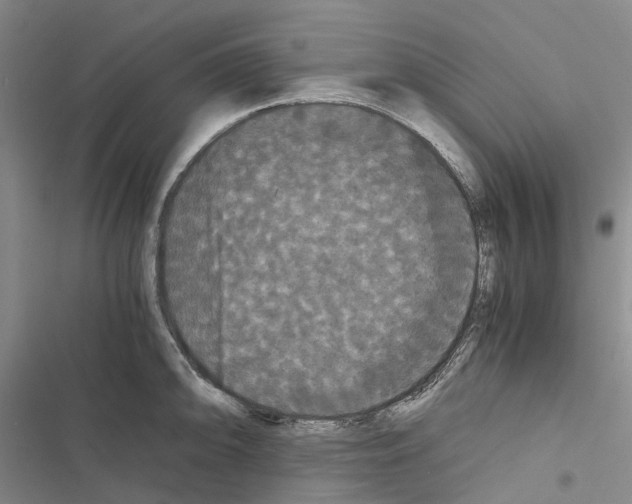 X0000116441094201001191527