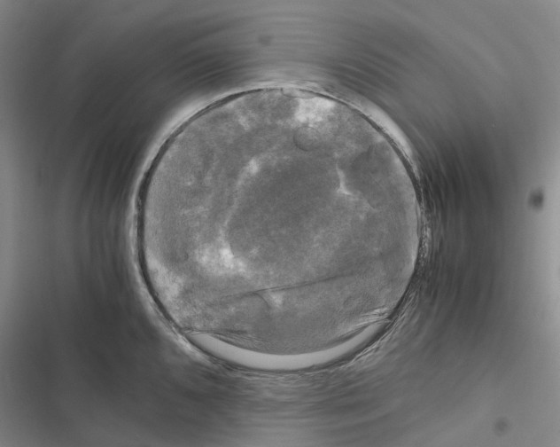 X0000116441096201001191526