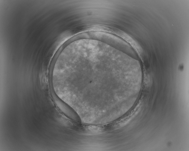 X0000116441097201001191526