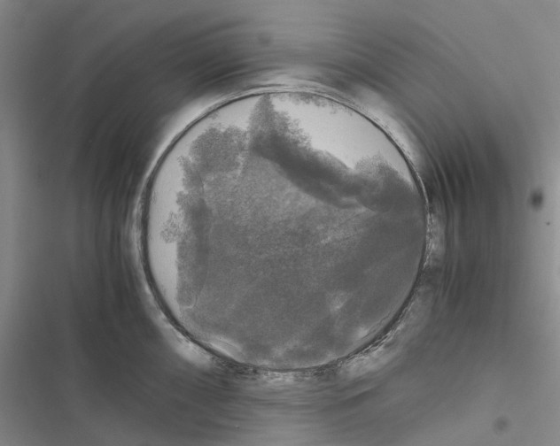 X0000116441098201001191526