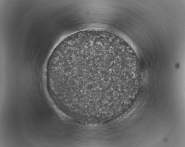 X0000116441099201001191526