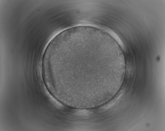 X0000116441100201001191526