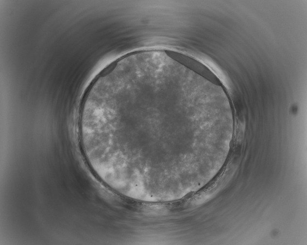 X0000116441101201001191526