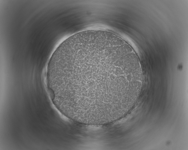 X0000116441103201001191526