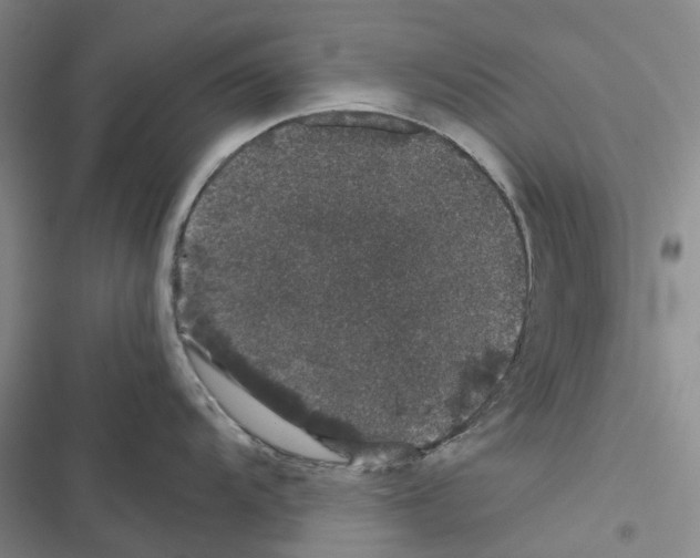 X0000116441104201001191526