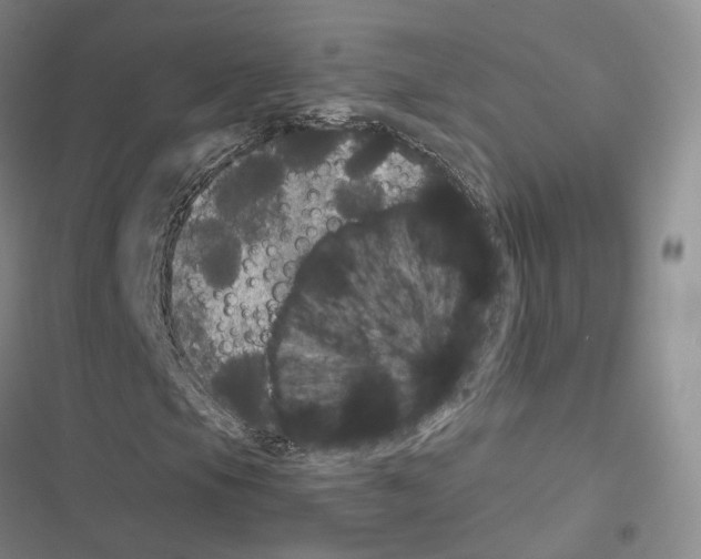 X0000116441105201001191526