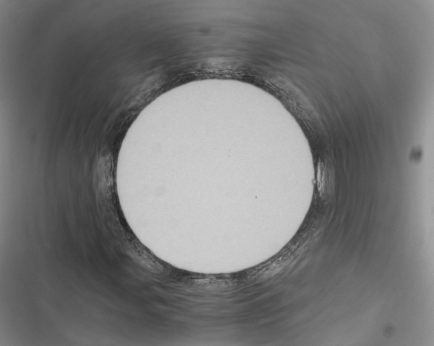 X0000116441107201001191526