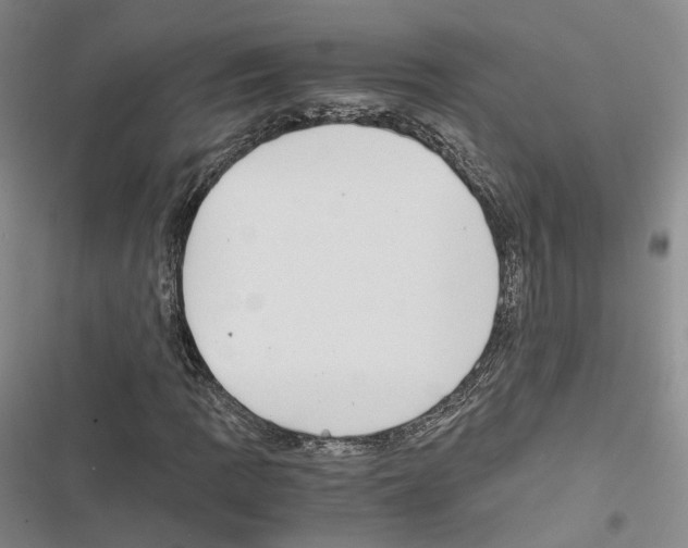 X0000116441109201001191526