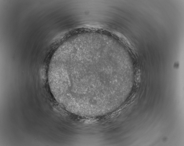 X0000116441110201001191526