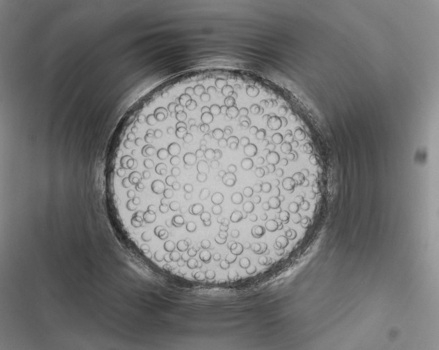 X0000116441113201001191526