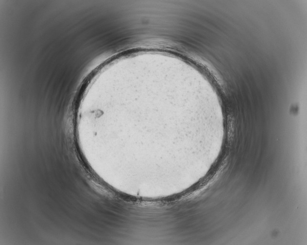 X0000116441114201001191526