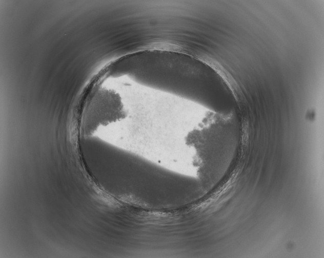 X0000116441115201001191526