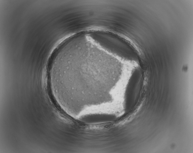 X0000116441117201001191526