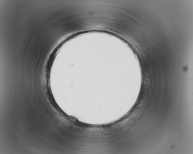 X0000116441118201001191526