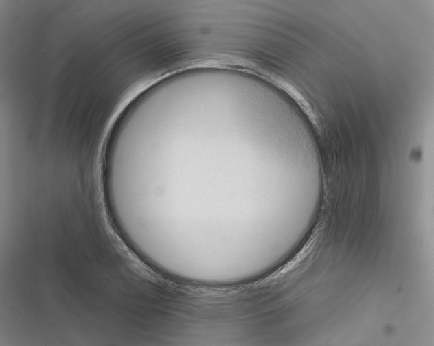 X0000116441122201001191526