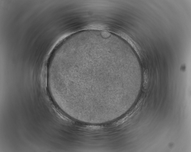 X0000116441123201001191526